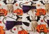 HALLOWEEN CATS Catnip Blanket