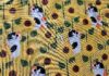 CALLIE CAT Catnip Blanket CALLIE CAT Catnip Blanket